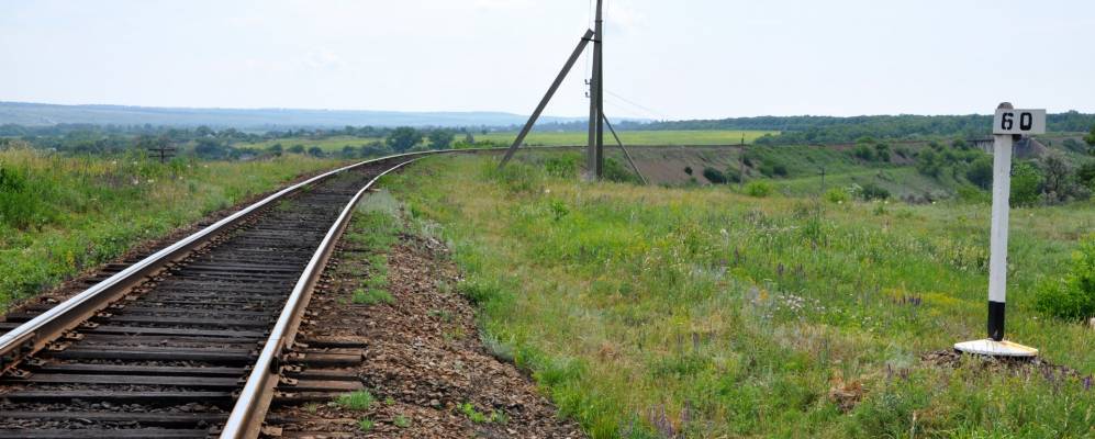 
            Фотография Дачного