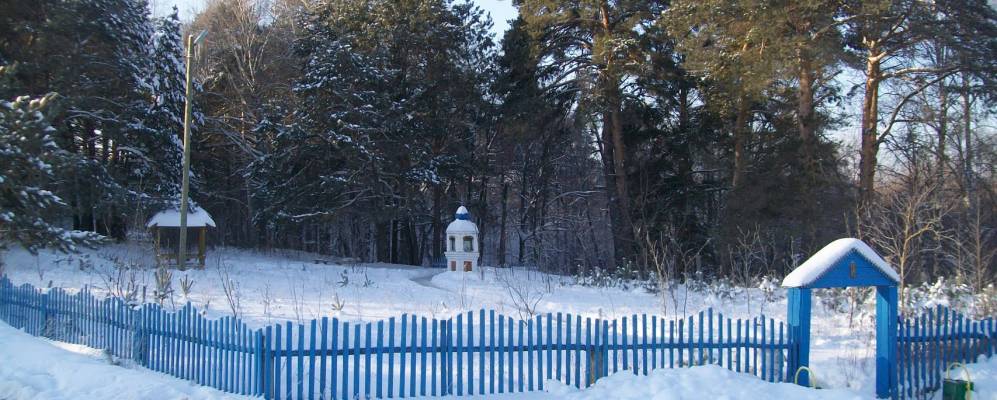 Фотография Бимы