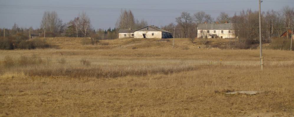 
            Фотография Висикумса