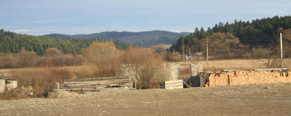 
            Фотография Терла