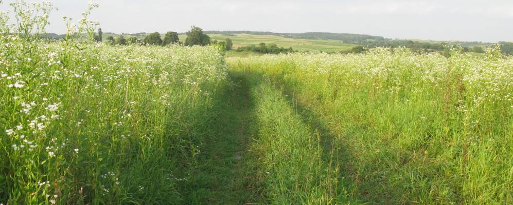 
            Фотография Плешевичи