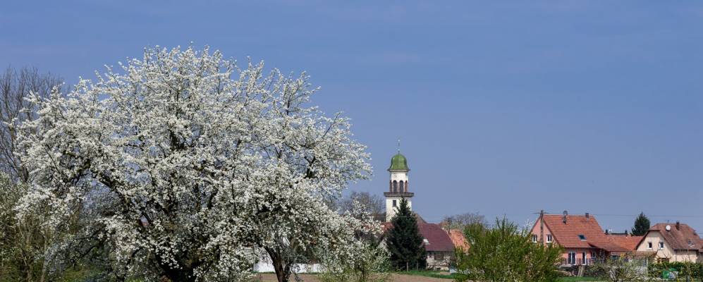 
            Фотография Ильсанхайма