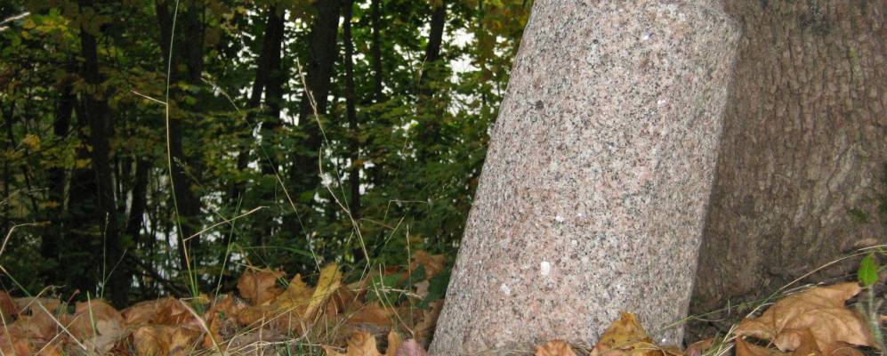 
            Фотография Шоссейного Дома