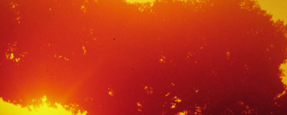 
            Фотография База