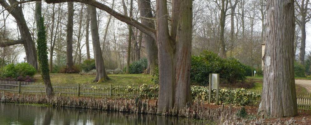 
            Фотография Ля-Гранд-Паруаса