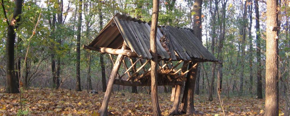 
            Фотография Новоалексеевки