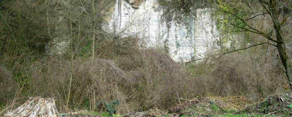 
            Фотография Куброна