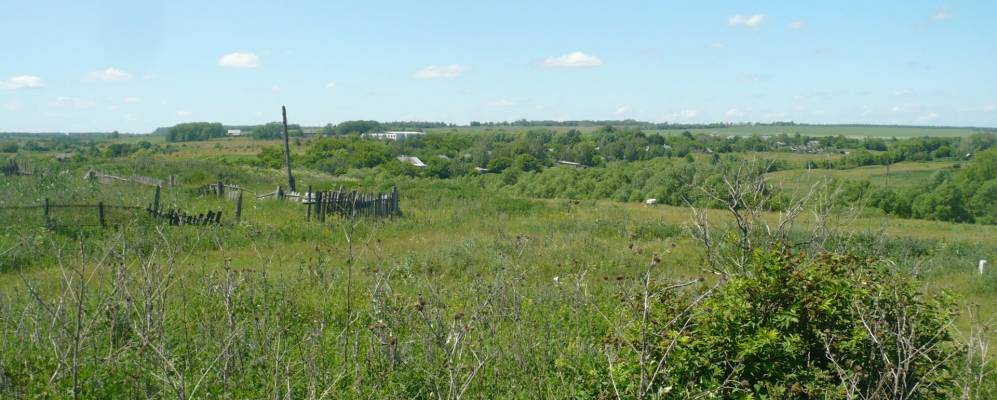 
            Фотография Бучалки