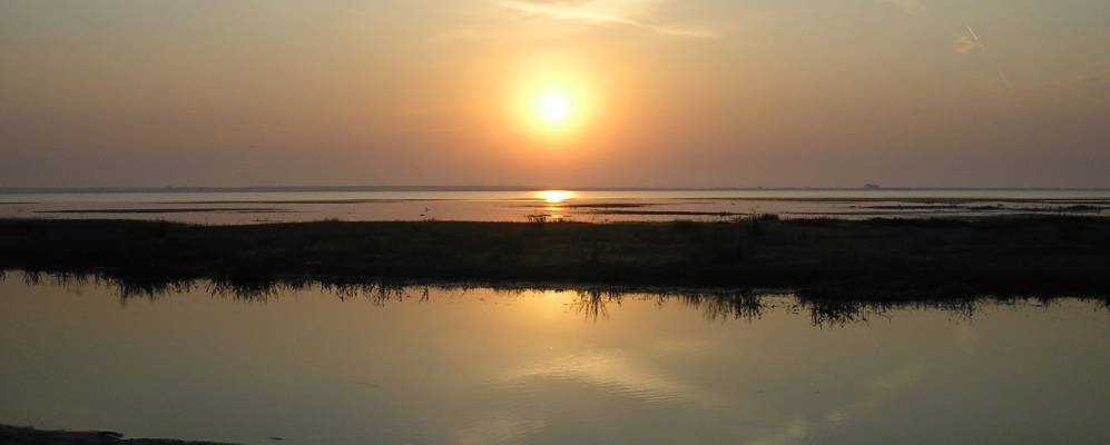 
            Фотография Рословского