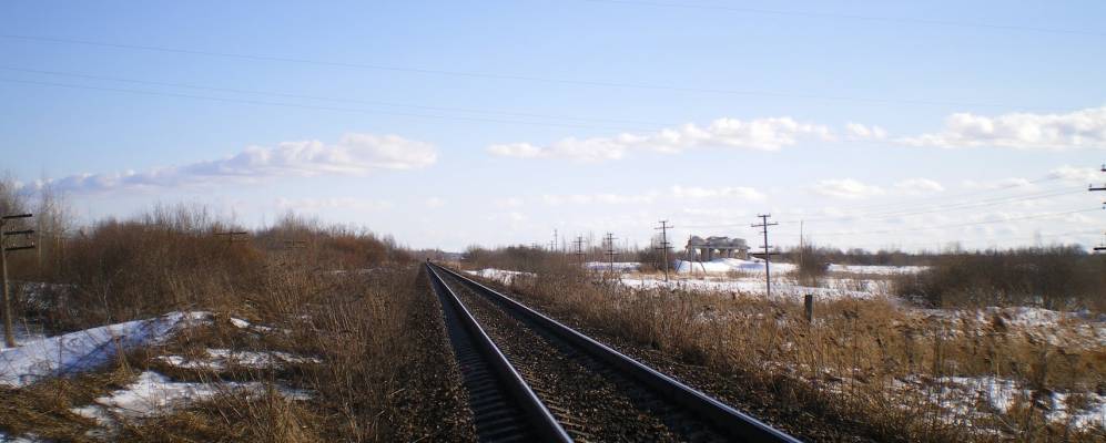 
            Фотография Федоровского