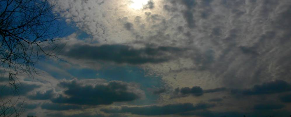 
            Фотография Мёршена