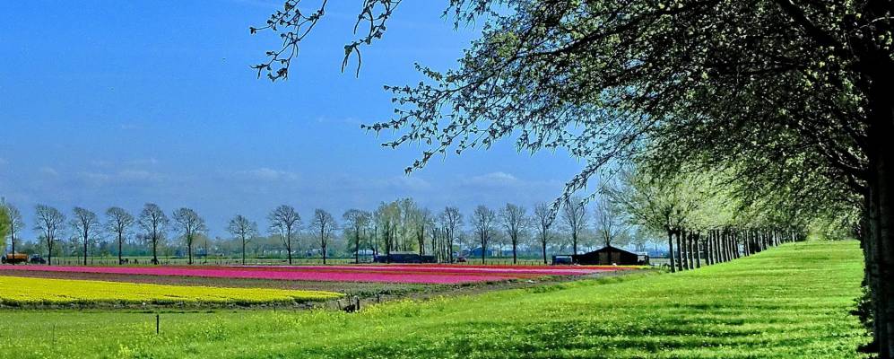 
            Фотография Харенкарспела