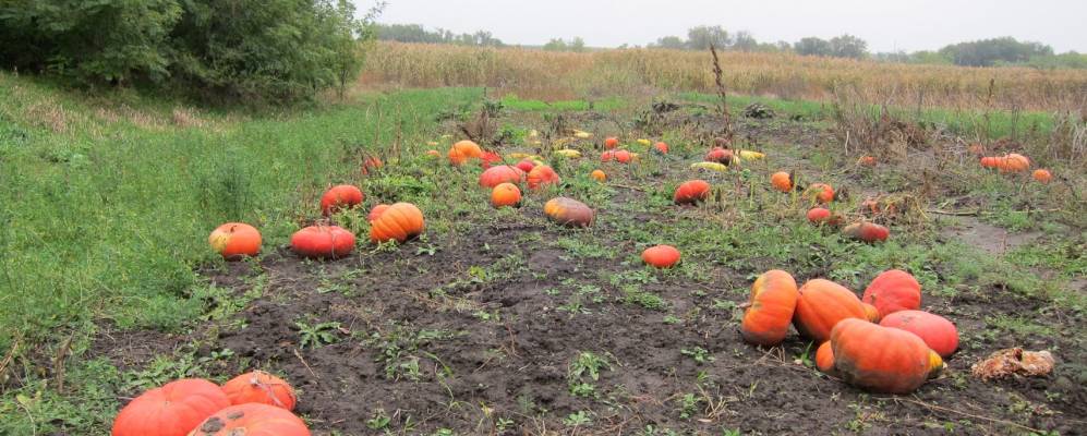 
            Фотография Среднего Егорлыка