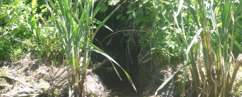 
            Фотография Кундузлутомака