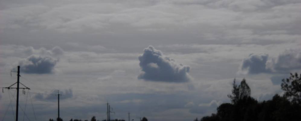 Фотография урочища Малахи