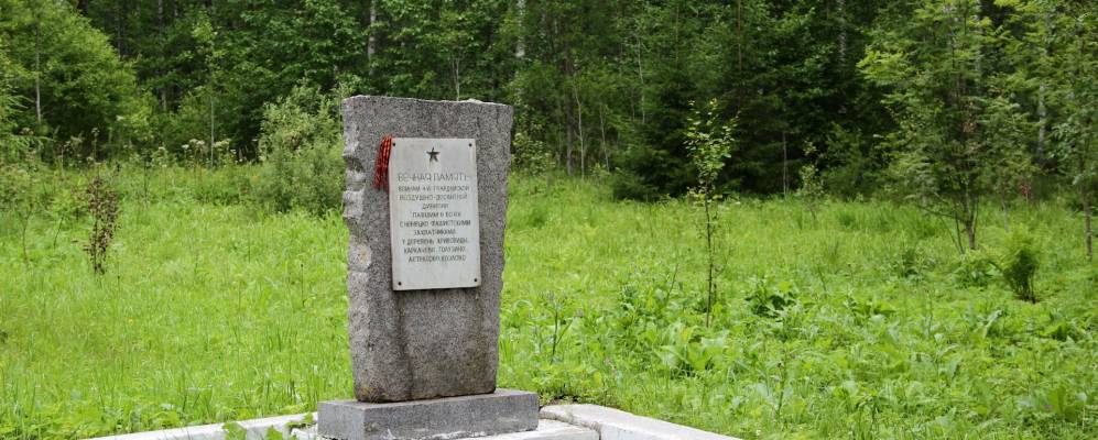 
            Фотография Горушки