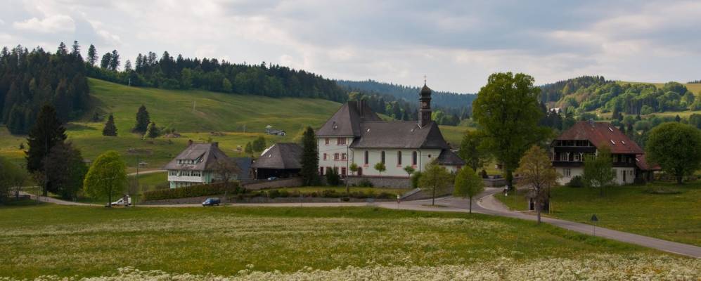 
            Фотография Ibach