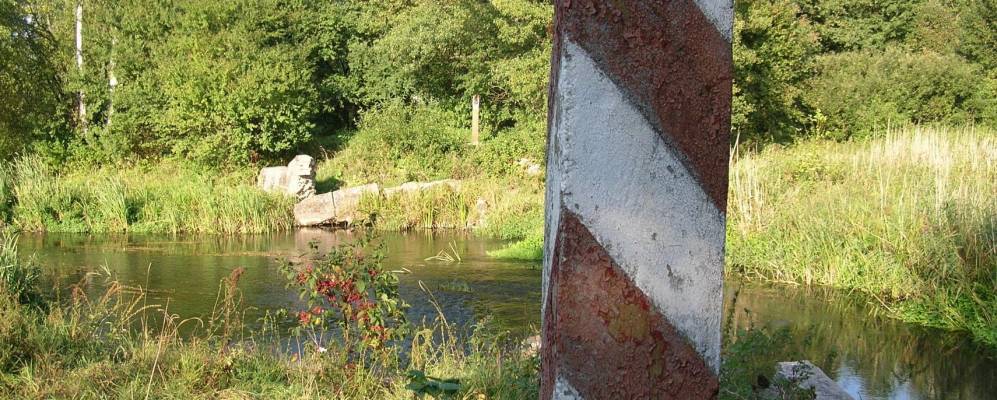 
            Фотография Голынки