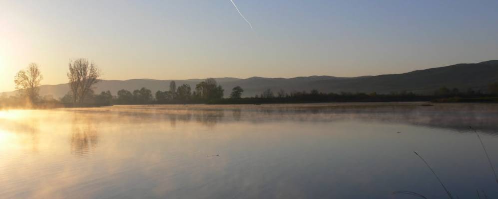 
            Фотография Ягода