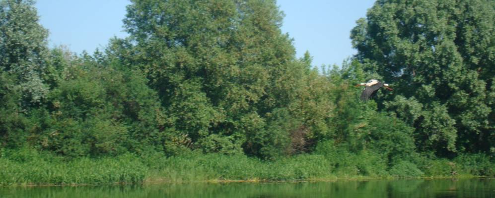 Фотография деревни Липина