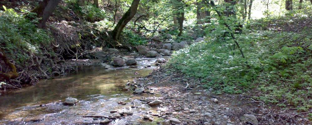 
            Фотография Чайковского