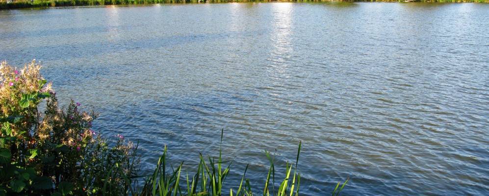 
            Фотография Биссендорфа