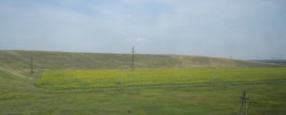 
            Фотография Солонцовки