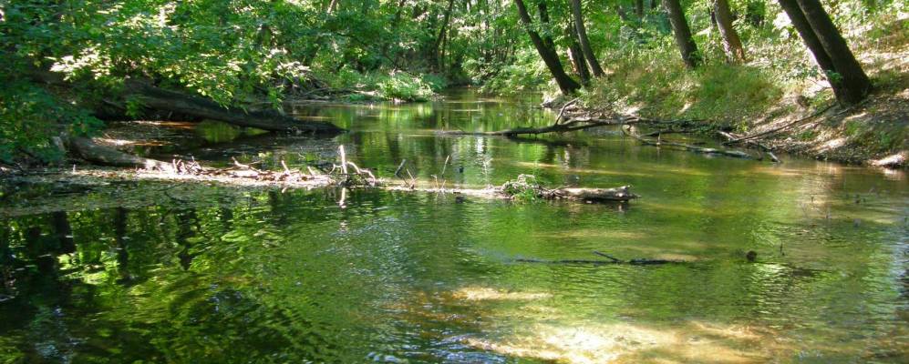 Фотография Нижнянки