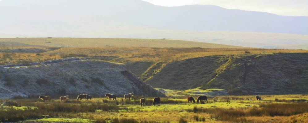 
            Фотография Лландовери
