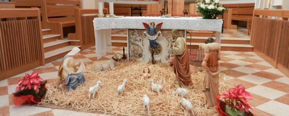 
            Фотография Толе