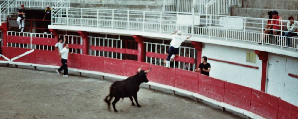 
            Фотография Сален де Жиро