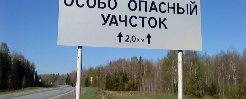 Фотография Паинцев