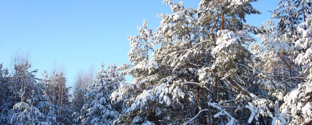 Фотография Булгаковских Выселок