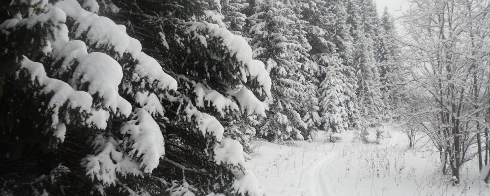 
            Фотография Печенок