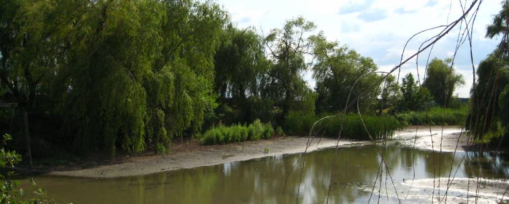 Фотография Рашпиля