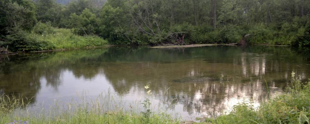 
            Фотография Уршадов