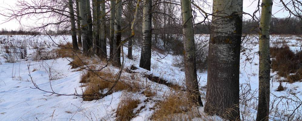 Фотография Селиваново