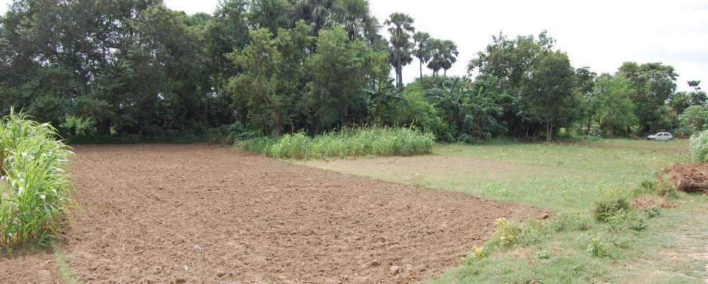 
            Фотография Хилсы