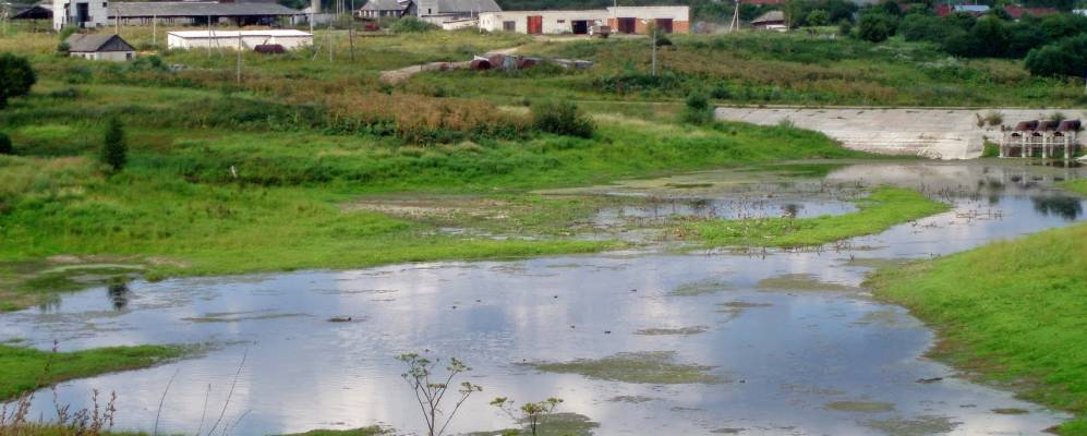 
            Фотография Чаадаево