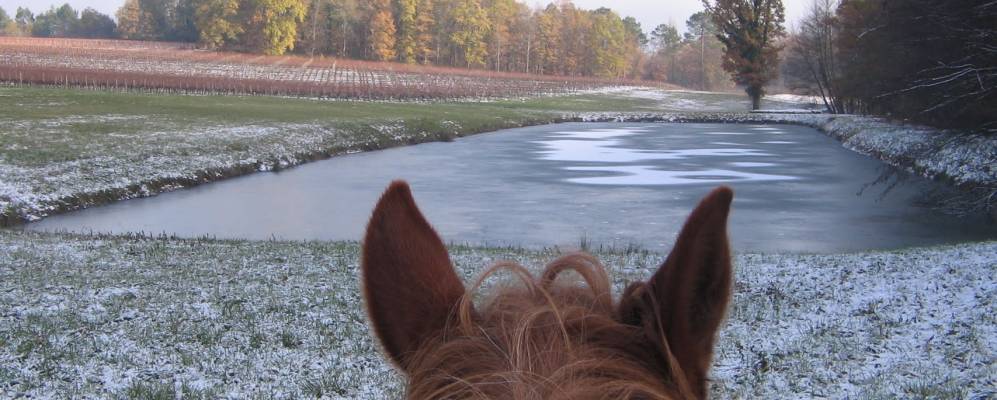 
            Фотография Гардеган-Э-Туртирак