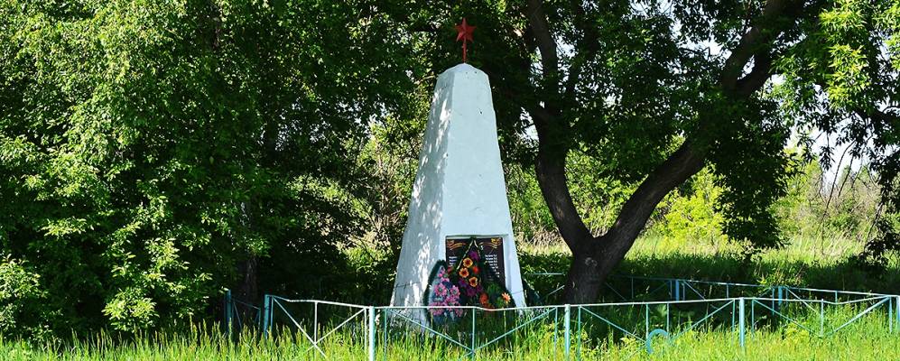 
            Фотография Вишневку (Первомайку)