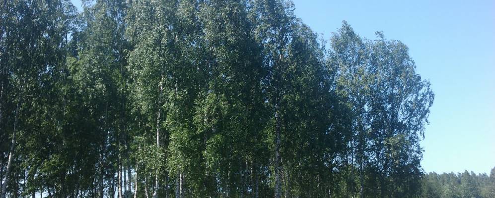 
            Фотография Здорово