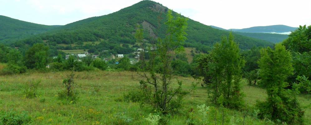 
            Фотография Тылового