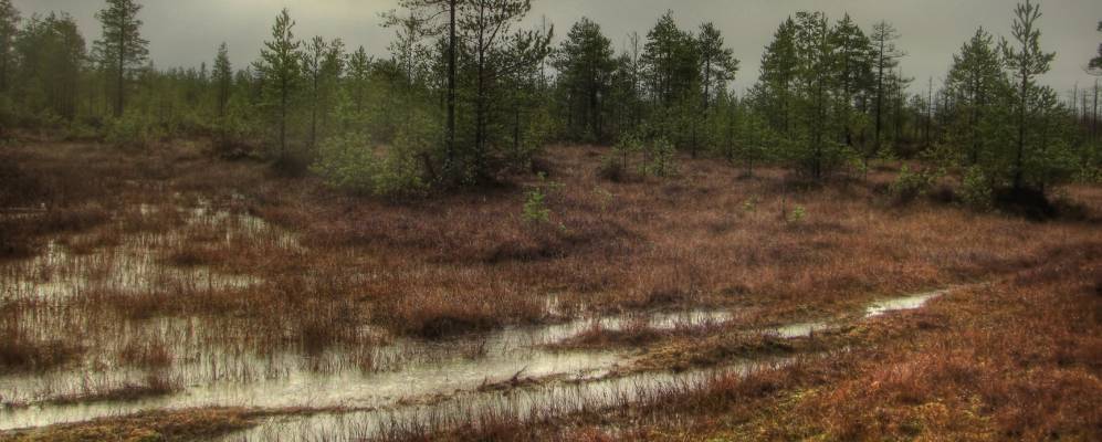 
            Фотография деревни Торки