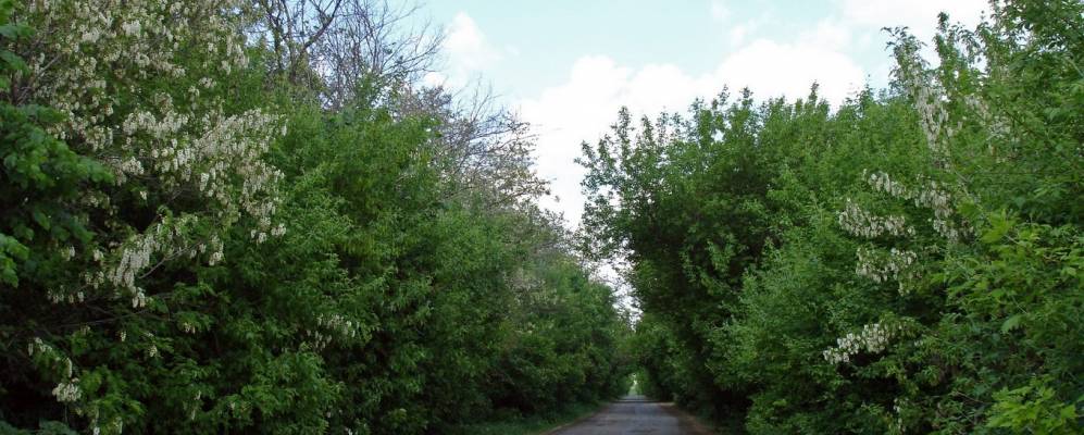 
            Фотография Александровки