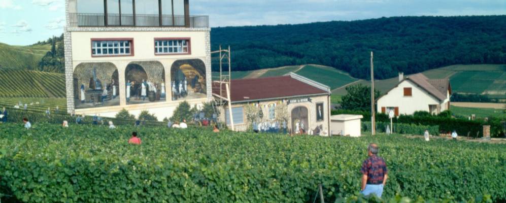 Фотография Вриньи