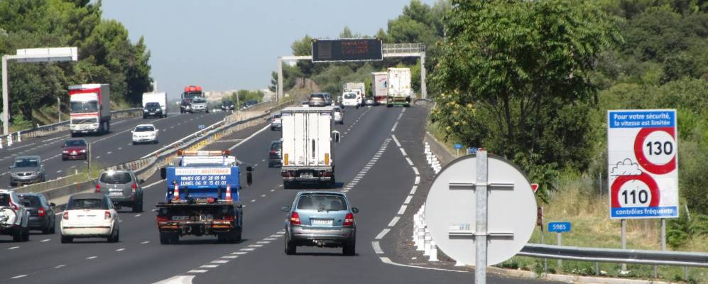 
            Фотография Мильо