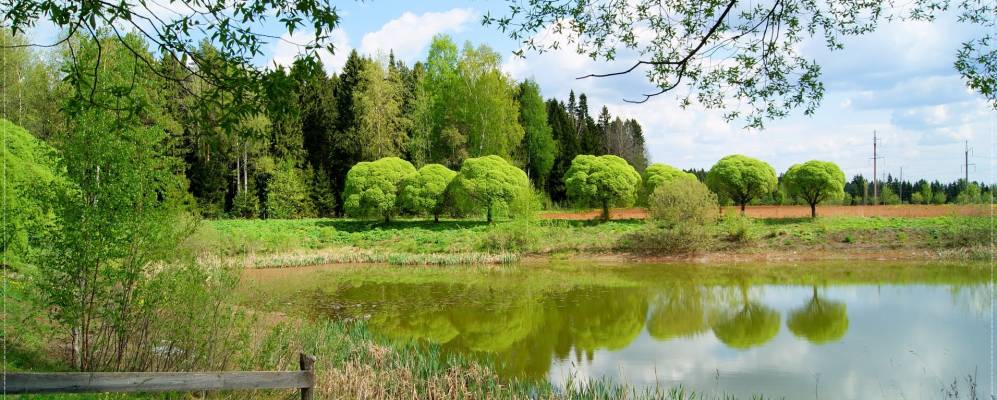 Фотография Никуленок