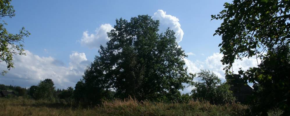 Фотография Гребешино