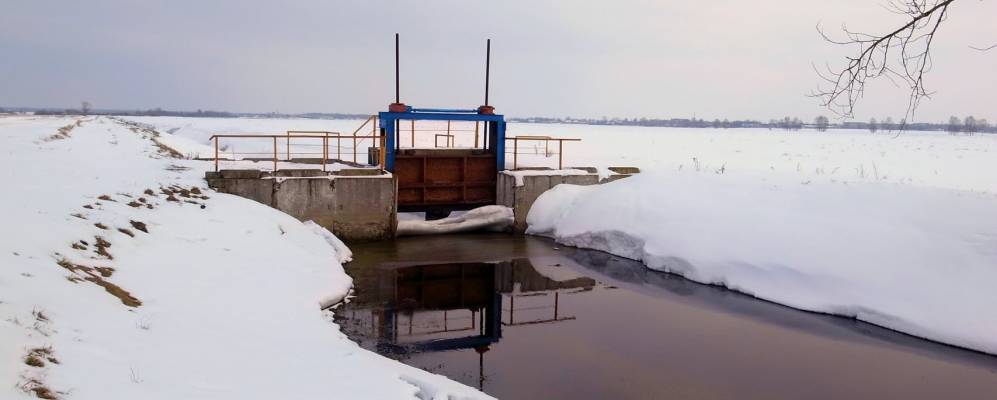 Фотография Таля